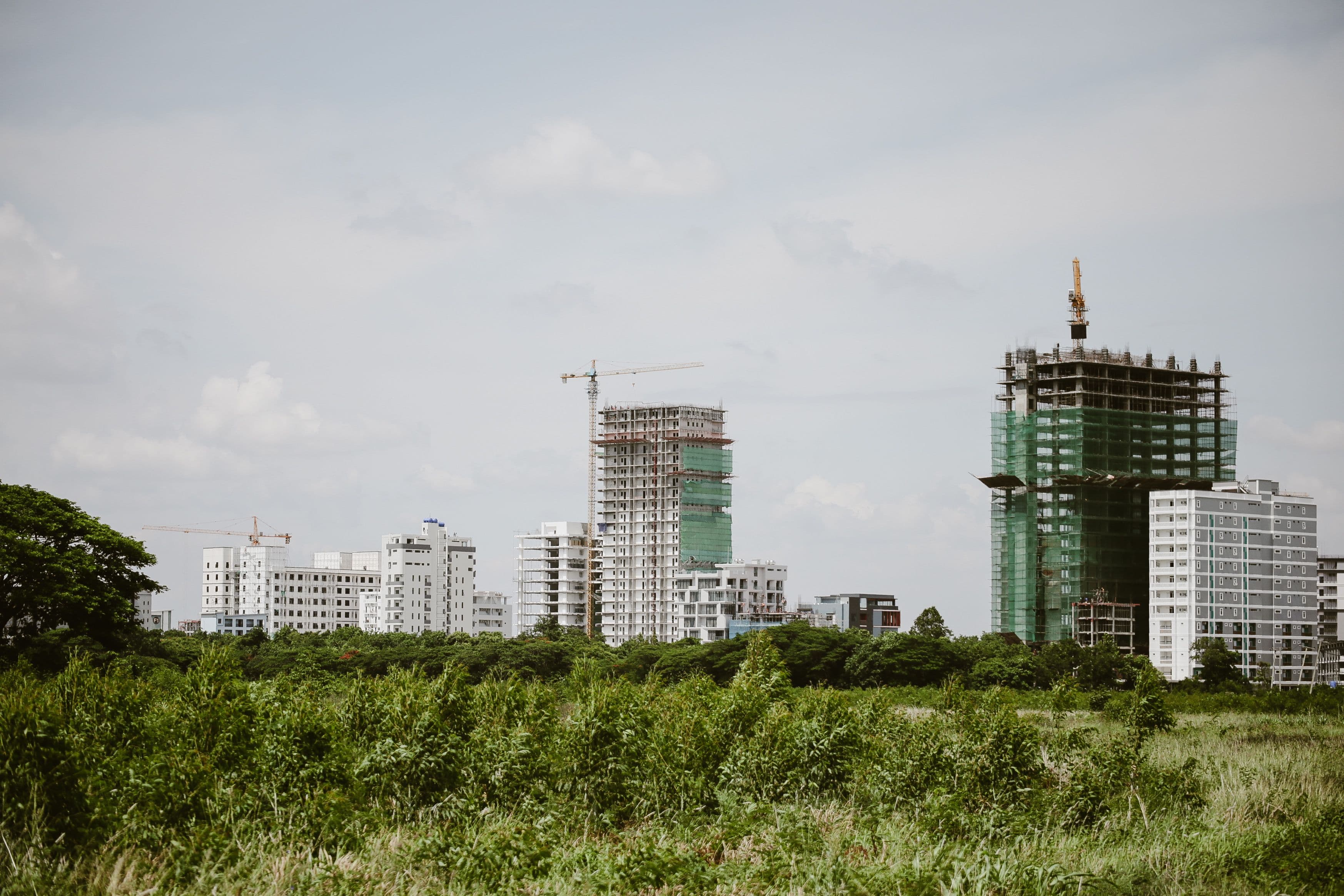 Tower blocks under construction rising behind an empty, overgrown plot of land